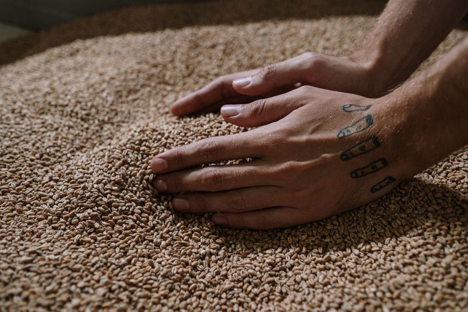 What Malt Does to the Body of Your Beer
